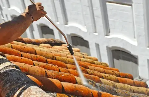 Nettoyage de toitures - Crozon-sur-Vauvre